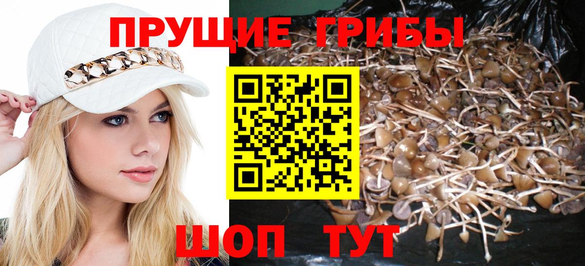 Псилоцибиновые грибы мицелий  Вход с VPN  Нурлат 