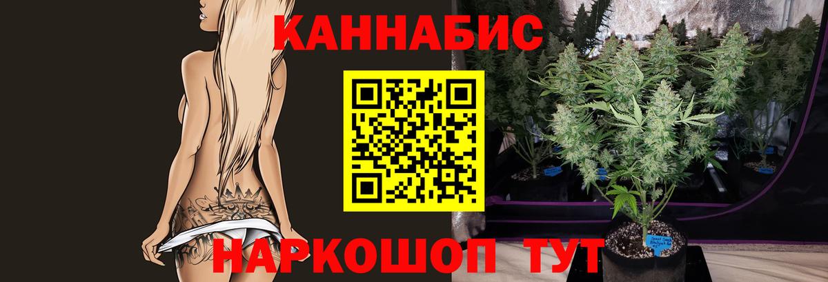 Нурлат  МАРИХУАНА план  Канабис тримм  Вход с VPN  Шишки марихуана THC 21%  Шишки марихуана MAZAR 